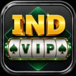 Ind Vip App